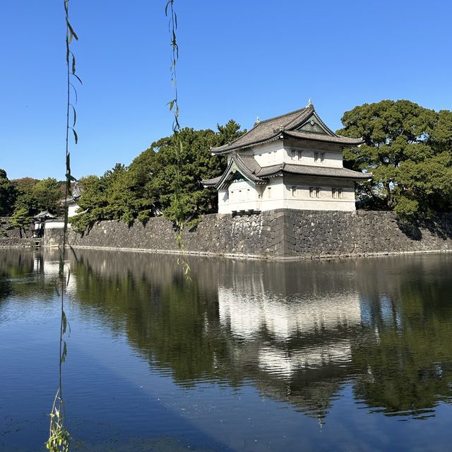 🌟 도쿄역 한복판에서 조금 걸으면 나오는 일본 황실이 보이는 아름다운 공원 🌟