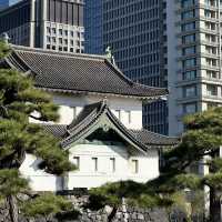 🌟 도쿄역 한복판에서 조금 걸으면 나오는 일본 황실이 보이는 아름다운 공원 🌟