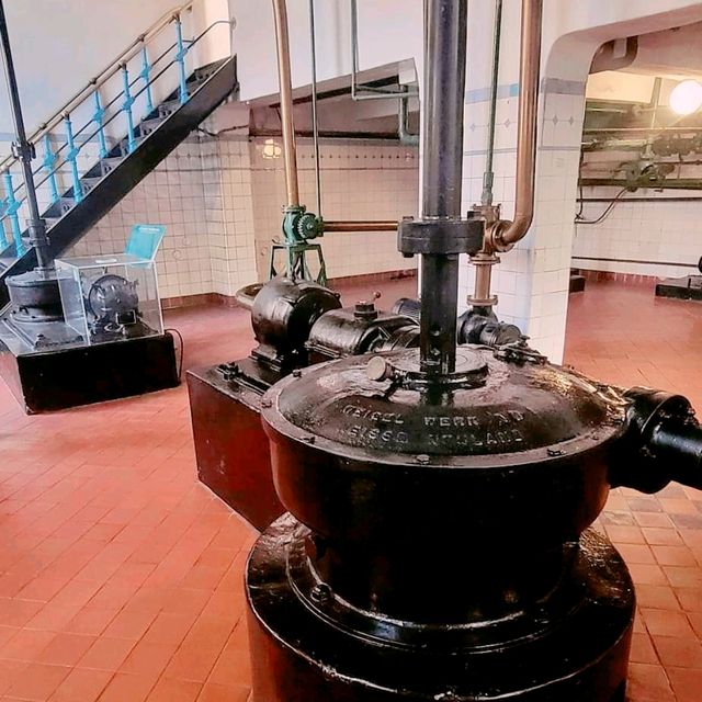 齊齊睇齊齊啤世界知名青島啤