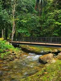 น้ำตกโตนไพร จ.พังงา