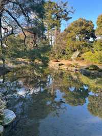 【京都】穴場だけど素敵な庭園