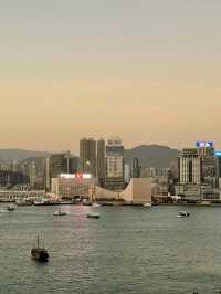 The Hong Kong Odyssey