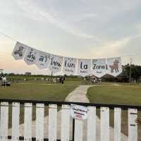 Barakat Lunla Land cafe & farm วิวทุ่งนา