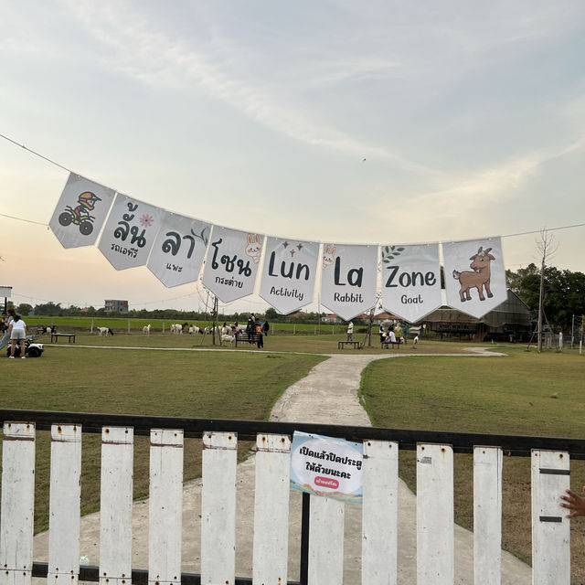 Barakat Lunla Land cafe & farm วิวทุ่งนา