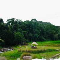 หลงเขา บ่อเกลือ น่าน-Lhong Khao
