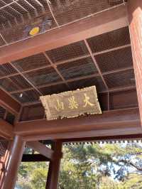 【神奈川県】鎌倉観光で外せない「高徳院・鎌倉大仏」