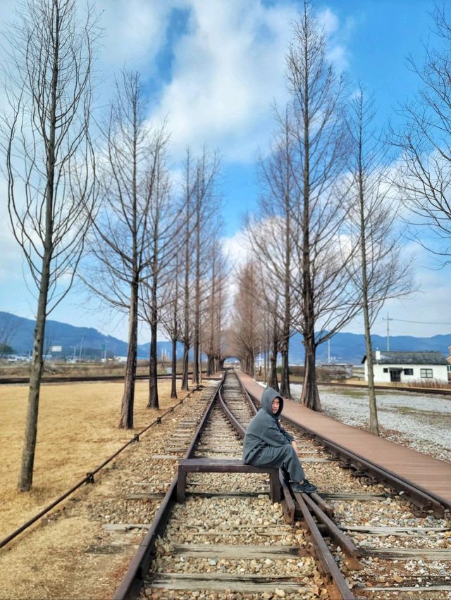 여기서는 우리도 드라마속 주인공🏫