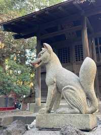 【東京都/錦春稲荷神社】小石川後楽園内にある神社