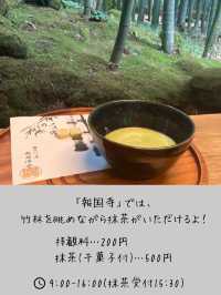 【鎌倉】竹林を見ながらお抹茶が飲めるおすすめスポット🎋🍵