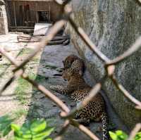 National Zoological Park