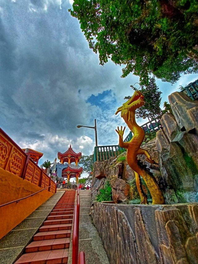 Huge! Centipede of Seremban