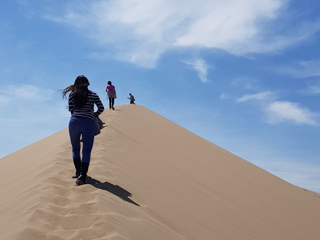 Day trip to Singing Dune and Camel’s Milk?!