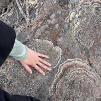 grampians national park 
