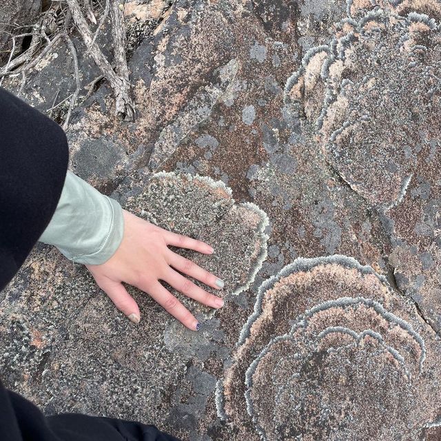 grampians national park 