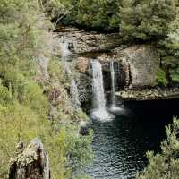 Forestry hike at Cradle Mountain 