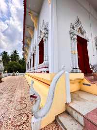วัดที่ได้รับพระราชทานวิสุงคามสี วัดบางใบไม้