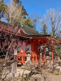 北野天満宮【北野の花手水】撫で牛の両脇の生花が華やかで綺麗