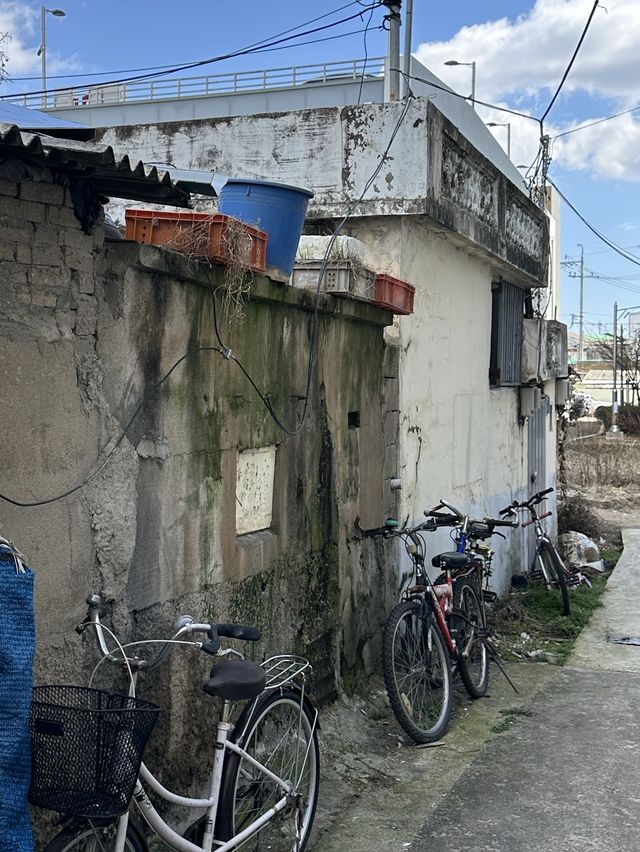 트렌디한 카페와 인디상점, 🌞 재래시장이 조화를 이루는 광주 시장 여행지