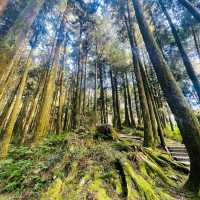 【臺北景點】陽明山國家公園：清新山區疲憊時放鬆
