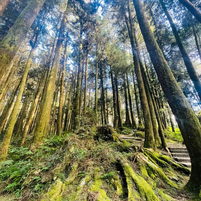 【臺北景點】陽明山國家公園：清新山區疲憊時放鬆