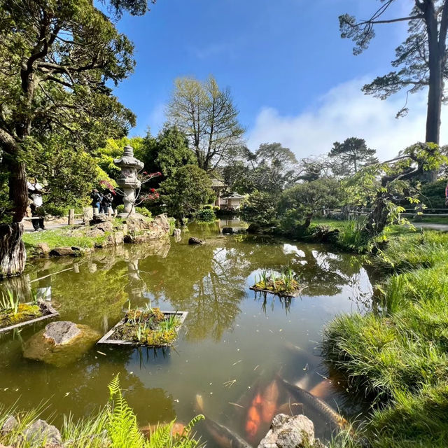 京都庭園：倫敦市區的綠洲，仿彿置身京都