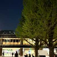 【上野恩賜公園】您喜歡欣賞夜櫻嗎？