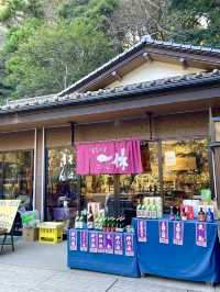 【湧水茶屋 一休/茨城県】湧水を利用して作る蕎麦やだんご