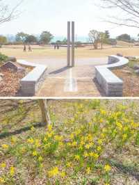 【淡路島】春を先取りしちゃう花畑へ🌼🌸🌷