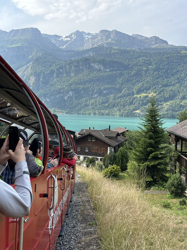 Oldest Cogwheel Railway experience