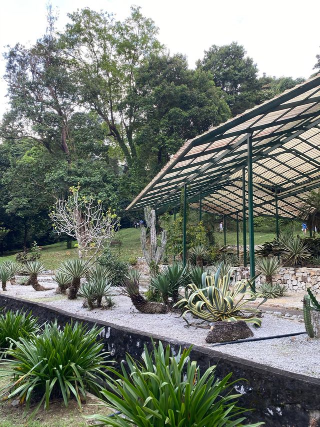 Tranquil Penang Botanjc Gardens 🇲🇾