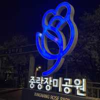 한산한 벚꽃 구경 스팟 추천 중랑장미공원💕