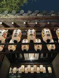 【京都】枝垂れ桜とプロディクションマッピングが同時に見れる庭園