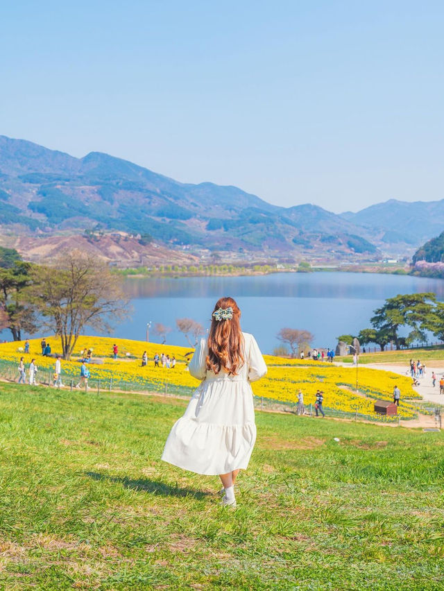 🌼 지리산치즈랜드 🌼