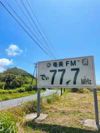【奄美大島】思わず写真を撮りたくなる可愛い奄美看板