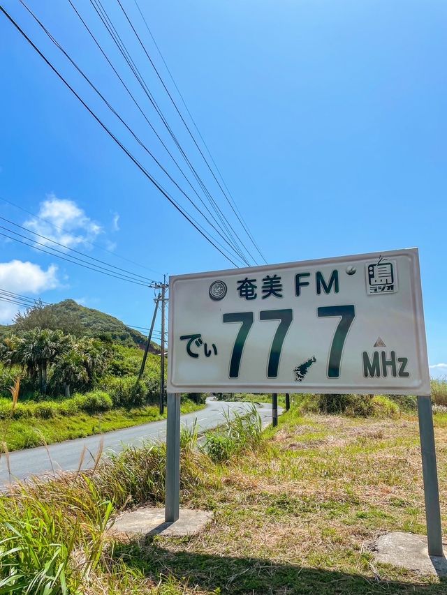 【奄美大島】思わず写真を撮りたくなる可愛い奄美看板