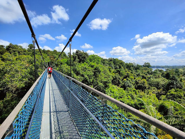 Tree Top Walk