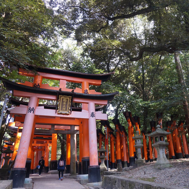 Thousand of Vermilion Torii Gates