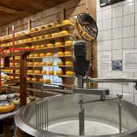 네덜란드 전통 치즈의 모든 것, Catharina Hoeve🧀