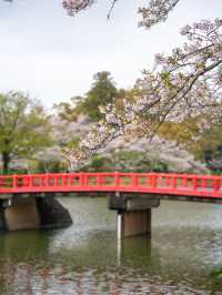 甘木公園　📍福岡