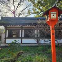 京都最美的賞櫻聖地🌸—平野神社⛩️