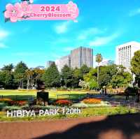 💐 So luxurious Hibiya Park 🇯🇵