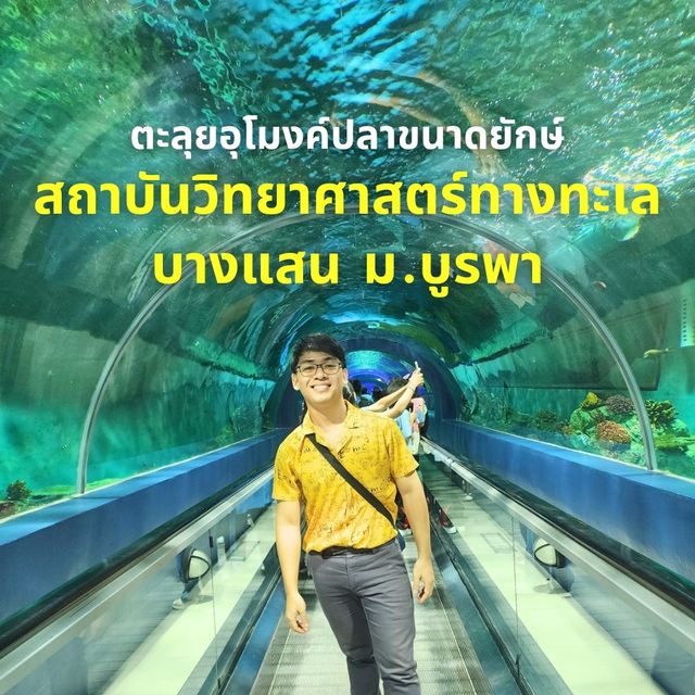 ชมแมงกะพรุนเรืองแสง @บางแสน