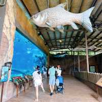 River Wonders Celebrating 10th Anniversary 