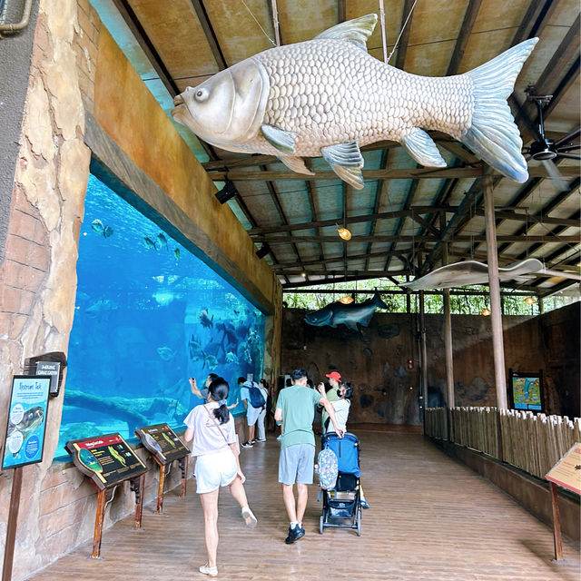 River Wonders Celebrating 10th Anniversary 
