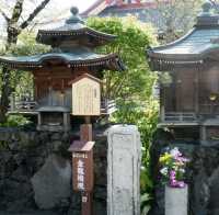 🌸วัด Sensoji (วัด Asakusa)🎍