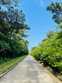 【宮古島】絶景の伊良部大橋が望める展望台！