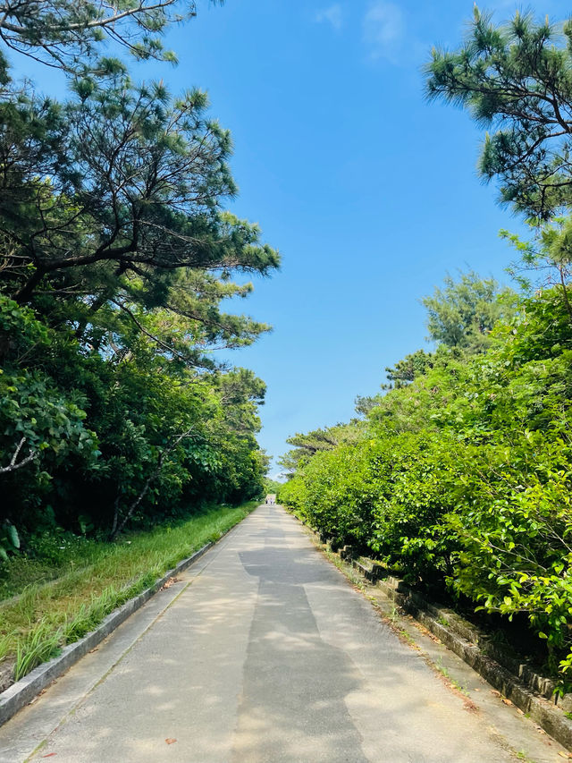 【宮古島】絶景の伊良部大橋が望める展望台！