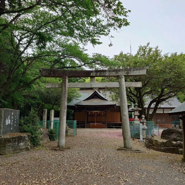 土浦日枝神社の流鏑馬神事🐎