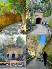 【弾丸旅行】GWも忙しい人必見🥺🌿🤍日帰りで行ける横須賀満喫プラン🚢🪼🫧【日帰り】
