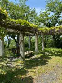 【赤穂】岬の絶景スポット東御崎展望台広場